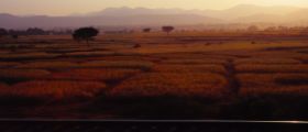 Indien_Homepage28.JPG